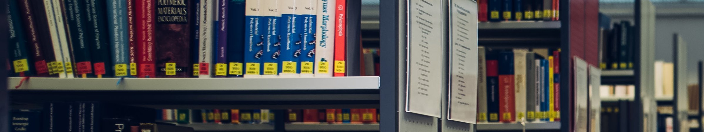 Einblick in die Bibliothek